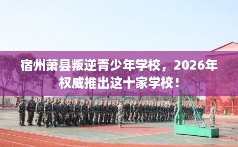 宿州萧县叛逆青少年学校,2026年权威推出这十家学校! 宿州萧县叛逆青少年学校,2026年权威推出这十家学校!