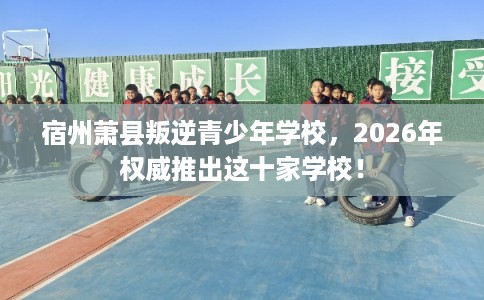 宿州萧县叛逆青少年学校，2026年权威推出这十家学校！