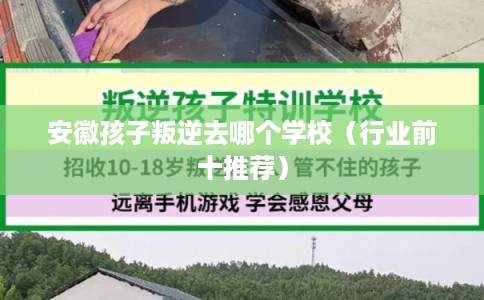 安徽孩子叛逆去哪个学校（行业前十推荐）