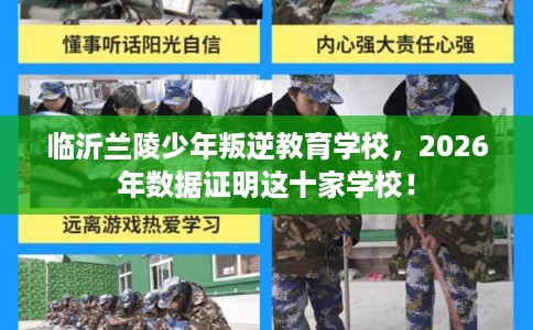 临沂兰陵少年叛逆教育学校，2026年数据证明这十家学校！