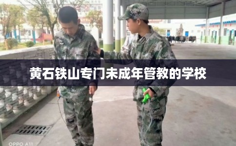 黄石铁山专门未成年管教的学校
