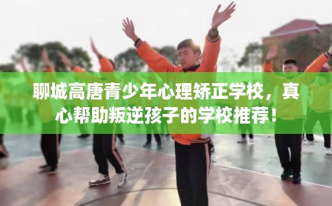 聊城高唐青少年心理矫正学校，真心帮助叛逆孩子的学校推荐！