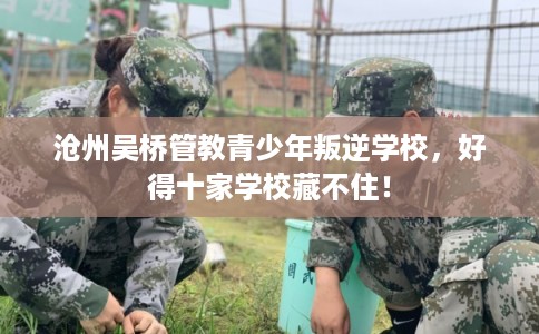 沧州吴桥管教青少年叛逆学校，好得十家学校藏不住！