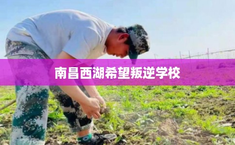南昌西湖希望叛逆学校 南昌西湖希望叛逆学校