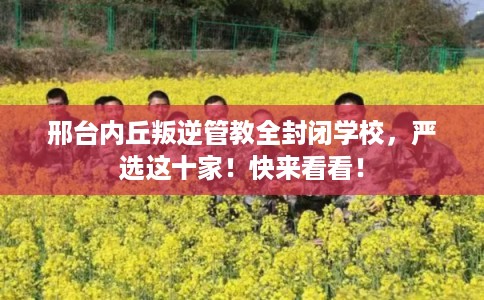 邢台内丘叛逆管教全封闭学校,严选这十家!快来看看! 邢台内丘叛逆管教全封闭学校,严选这十家!快来看看!