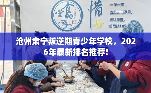沧州肃宁叛逆期青少年学校，2026年最新排名推荐!