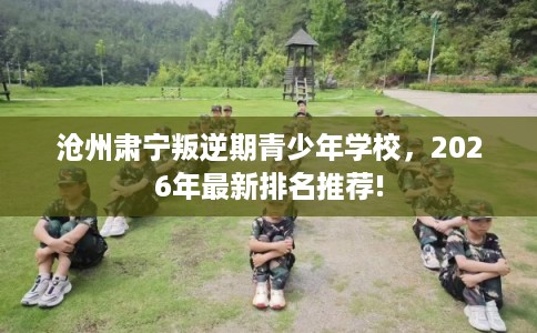沧州肃宁叛逆期青少年学校，2026年最新排名推荐!