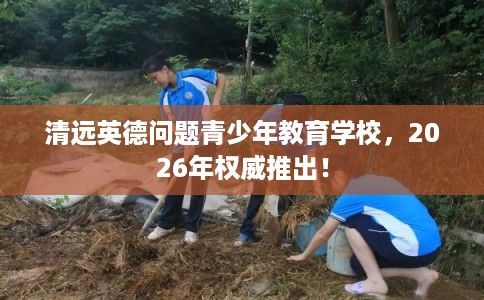 清远英德问题青少年教育学校，2026年权威推出！