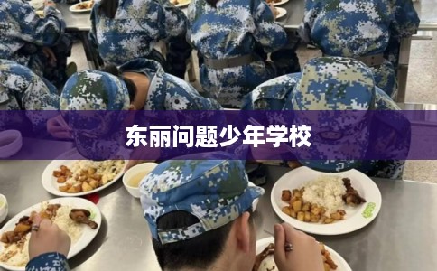 东丽问题少年学校