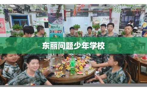 东丽问题少年学校