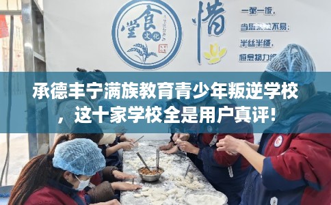 承德丰宁满族教育青少年叛逆学校，这十家学校全是用户真评!