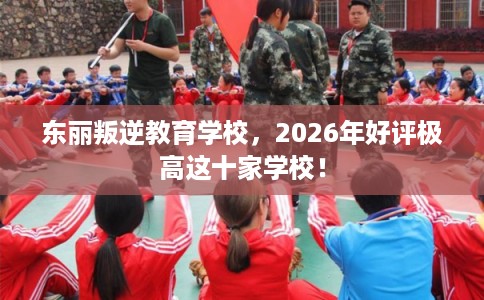 东丽叛逆教育学校，2026年好评极高这十家学校！