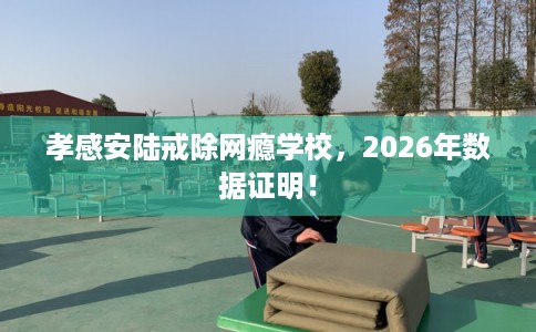 孝感安陆戒除网瘾学校，2026年数据证明！