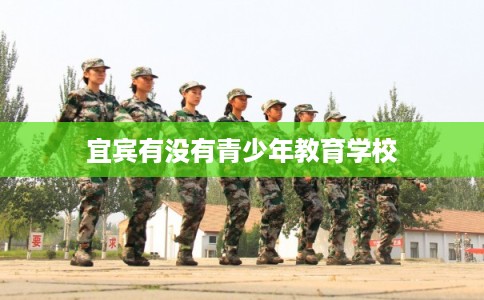 宜宾有没有青少年教育学校 宜宾有没有青少年教育学校