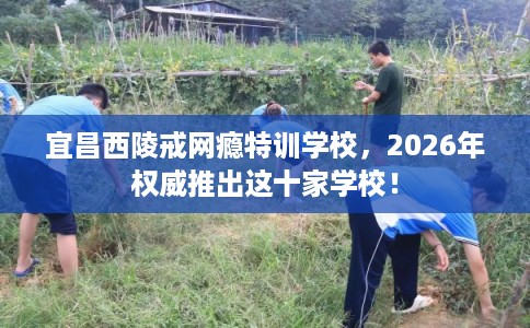 宜昌西陵戒网瘾特训学校,2026年权威推出这十家学校! 宜昌西陵戒网瘾特训学校,2026年权威推出这十家学校!