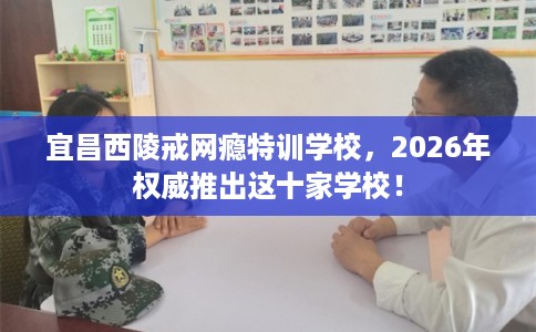 宜昌西陵戒网瘾特训学校，2026年权威推出这十家学校！