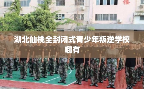 湖北仙桃全封闭式青少年叛逆学校哪有