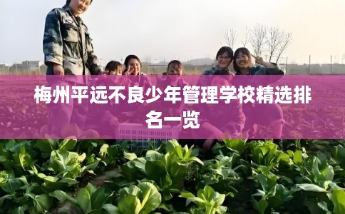 梅州平远不良少年管理学校精选排名一览 梅州平远不良少年管理学校精选排名一览