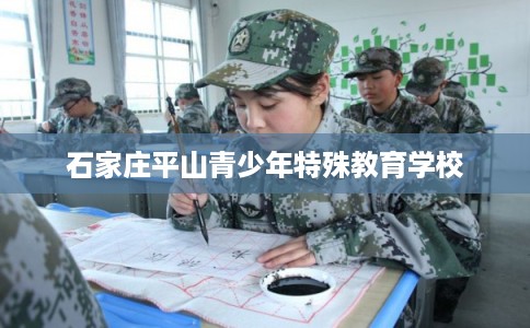 石家庄平山青少年特殊教育学校 石家庄平山青少年特殊教育学校