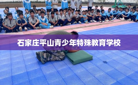 石家庄平山青少年特殊教育学校 石家庄平山青少年特殊教育学校