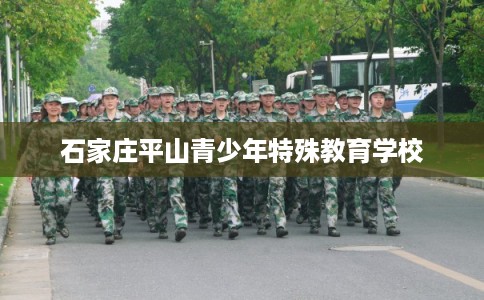 石家庄平山青少年特殊教育学校