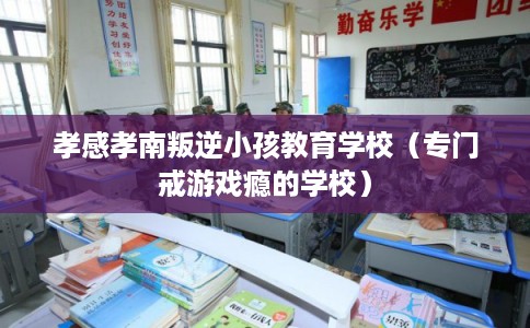 孝感孝南叛逆小孩教育学校（专门戒游戏瘾的学校）