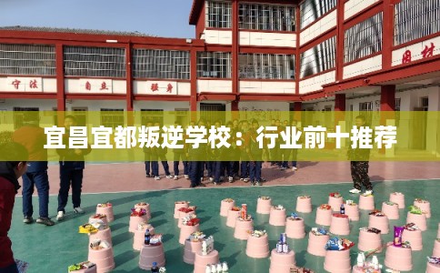 宜昌宜都叛逆学校：行业前十推荐