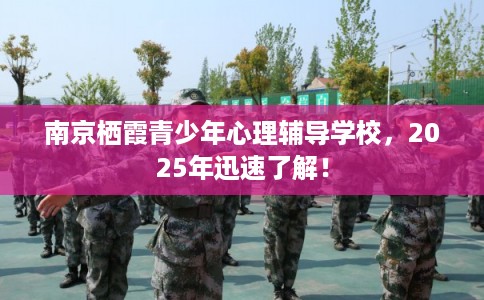 南京栖霞青少年心理辅导学校，2025年迅速了解！