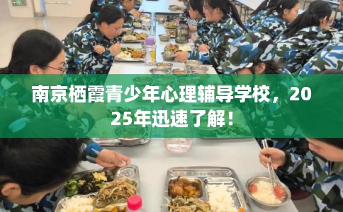 南京栖霞青少年心理辅导学校，2025年迅速了解！