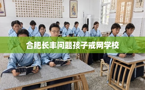 合肥长丰问题孩子戒网学校
