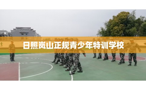 日照岚山正规青少年特训学校