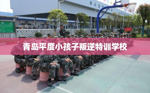 青岛平度小孩子叛逆特训学校