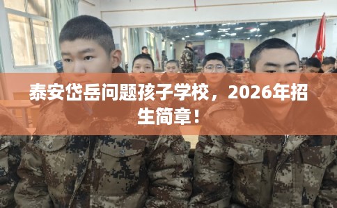 泰安岱岳问题孩子学校，2026年招生简章！