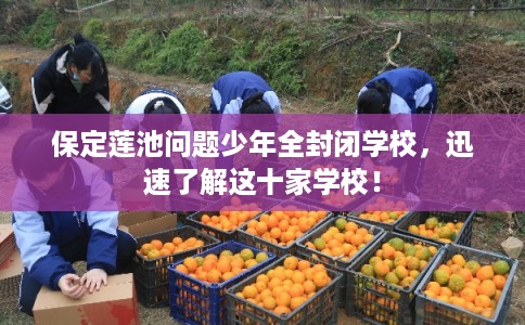 保定莲池问题少年全封闭学校，迅速了解这十家学校！