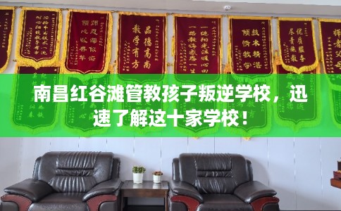 南昌红谷滩管教孩子叛逆学校，迅速了解这十家学校！
