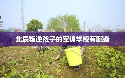 北辰叛逆孩子的军训学校有哪些