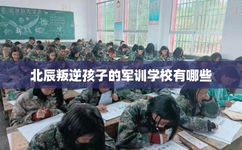 北辰叛逆孩子的军训学校有哪些