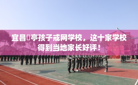 宜昌猇亭孩子戒网学校，这十家学校得到当地家长好评！