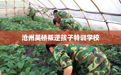 沧州吴桥叛逆孩子特训学校