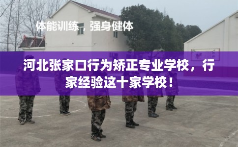河北张家口行为矫正专业学校，行家经验这十家学校！