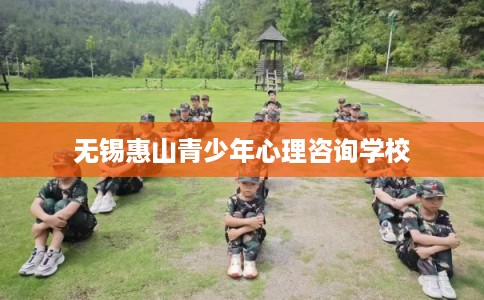 无锡惠山青少年心理咨询学校