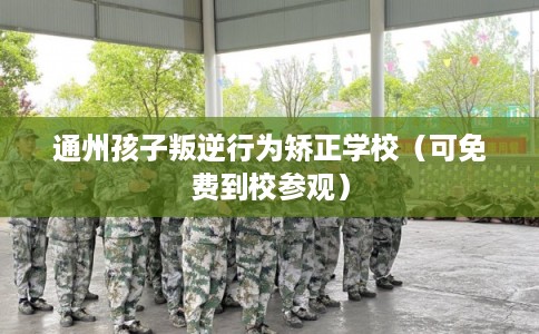 通州孩子叛逆行为矫正学校(可免费到校参观) 通州孩子叛逆行为矫正学校(可免费到校参观)
