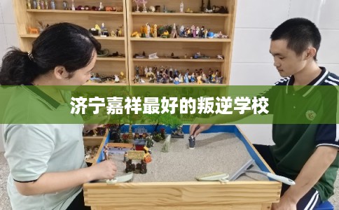 济宁嘉祥最好的叛逆学校 济宁嘉祥最好的叛逆学校