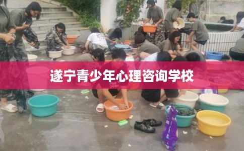 遂宁青少年心理咨询学校
