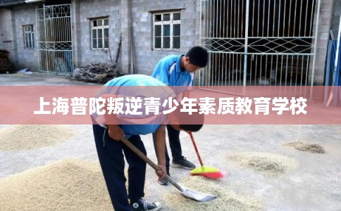 上海普陀叛逆青少年素质教育学校