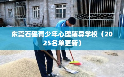 东莞石碣青少年心理辅导学校（2025名单更新）