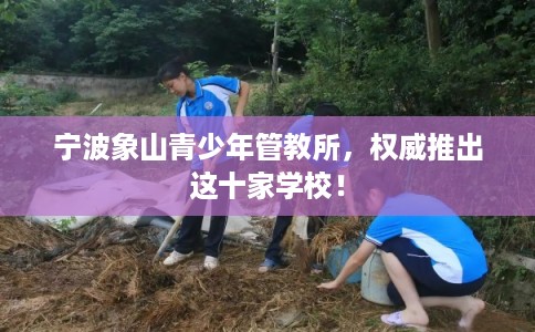 宁波象山青少年管教所，权威推出这十家学校！