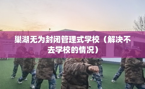 巢湖无为封闭管理式学校（解决不去学校的情况）