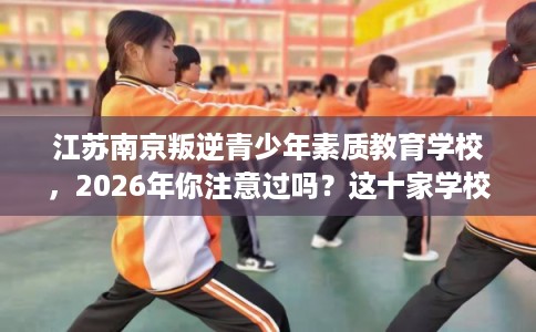 江苏南京叛逆青少年素质教育学校，2026年你注意过吗？这十家学校！