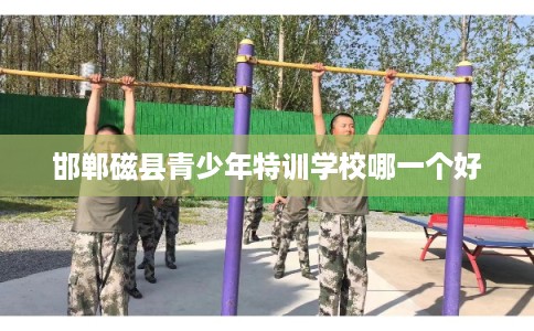 邯郸磁县青少年特训学校哪一个好
